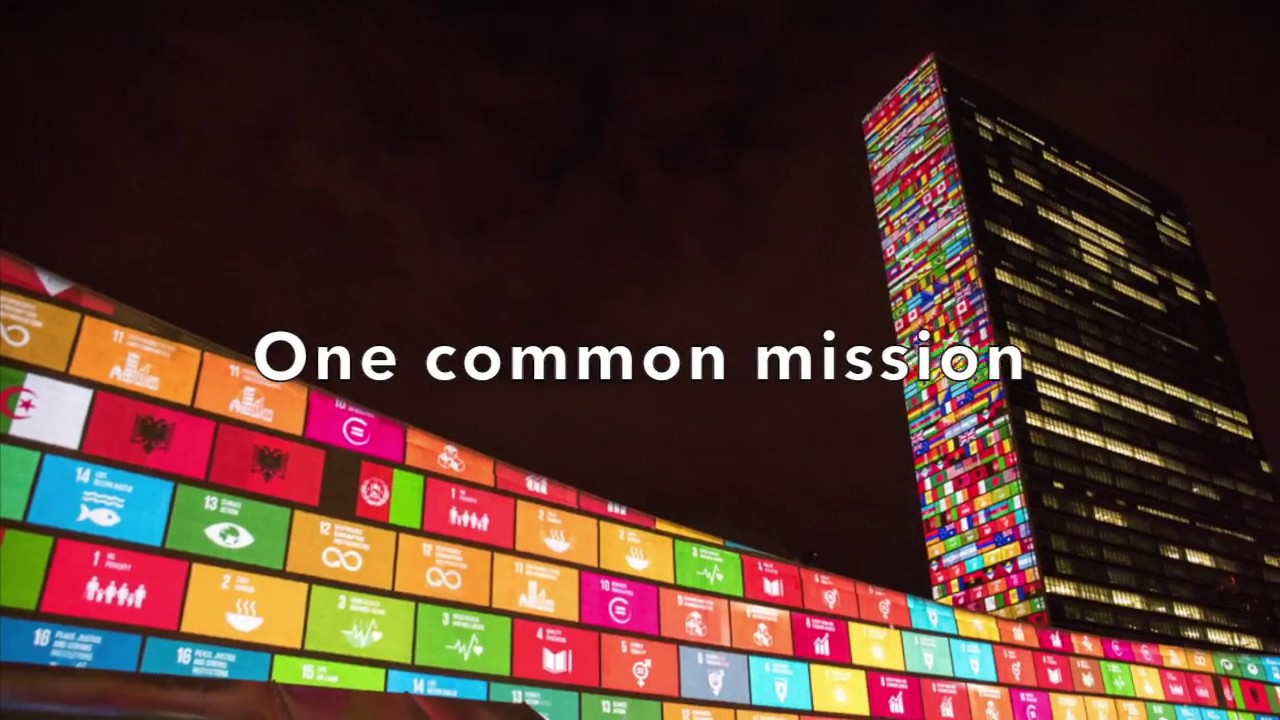UN Environment Management Group