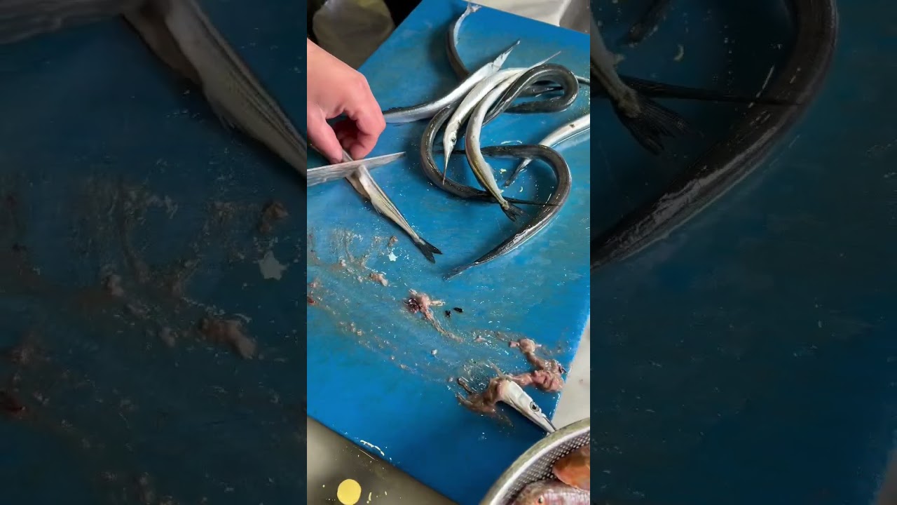 Zargana 🔪🐟