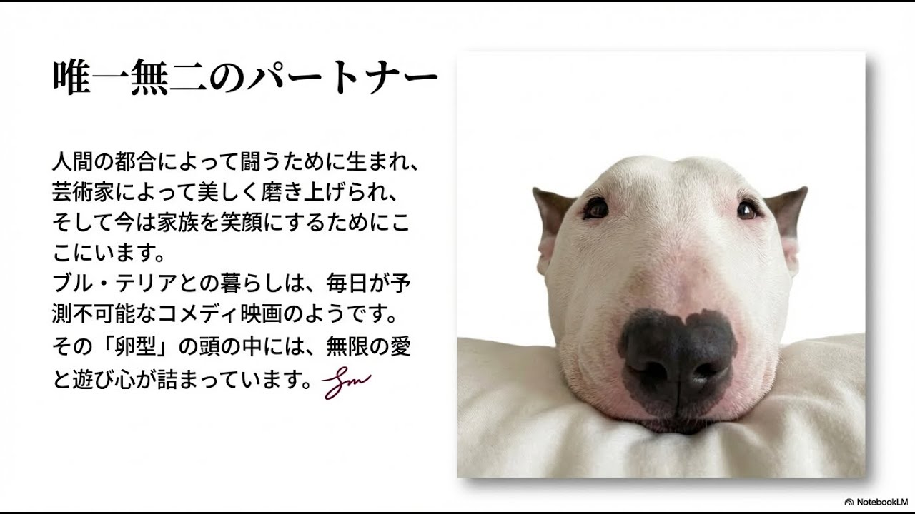 【ブルテリア】ってどんな犬種？