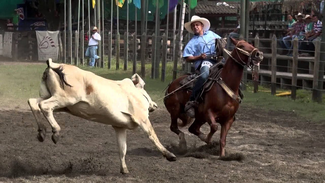 3 Final Nal Vaqueria 2015 mov