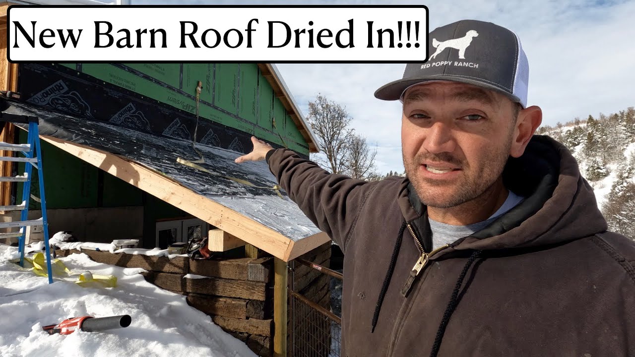 #547 - New Barn Roof Dried In Just In Time!