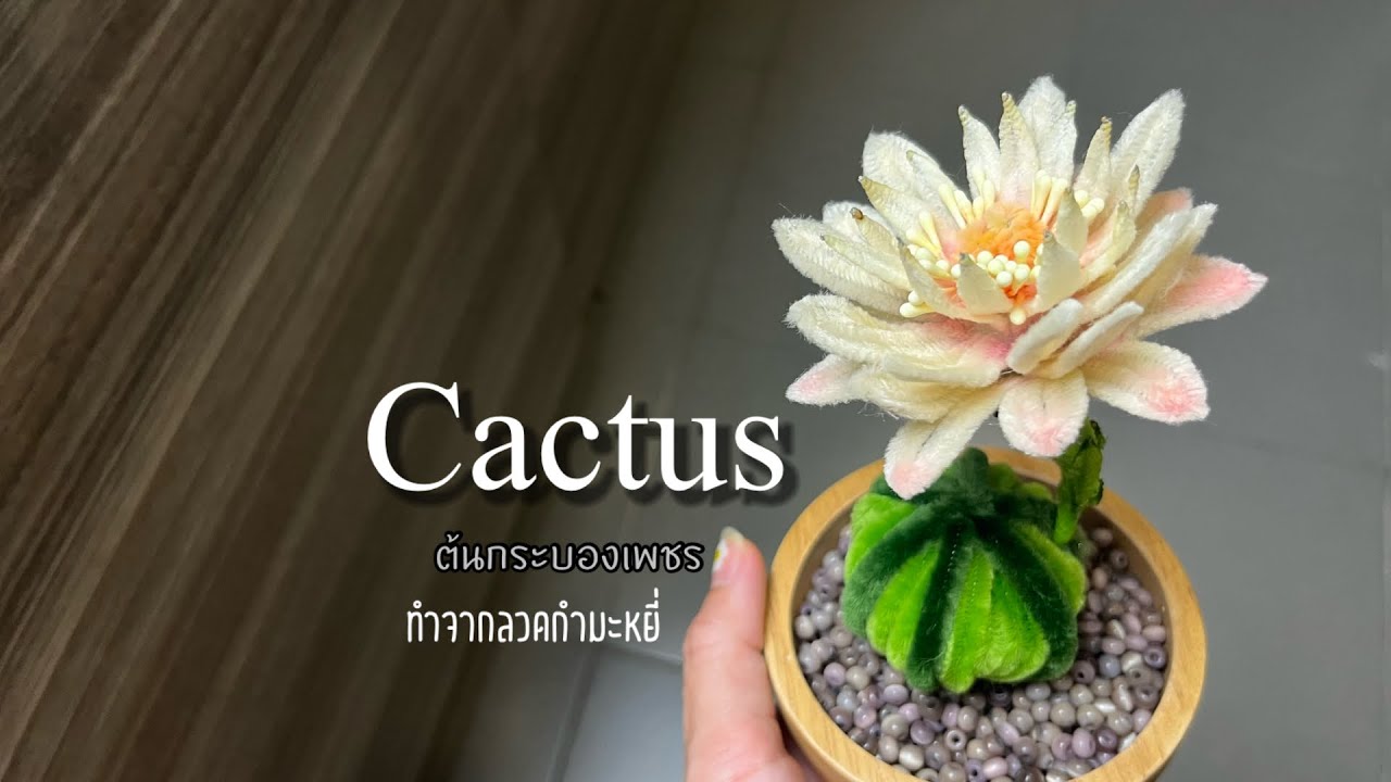 Cactus วิธีทำต้นกระบองเพชรจากลวดกำมะหยี่แบบง่ายๆ
