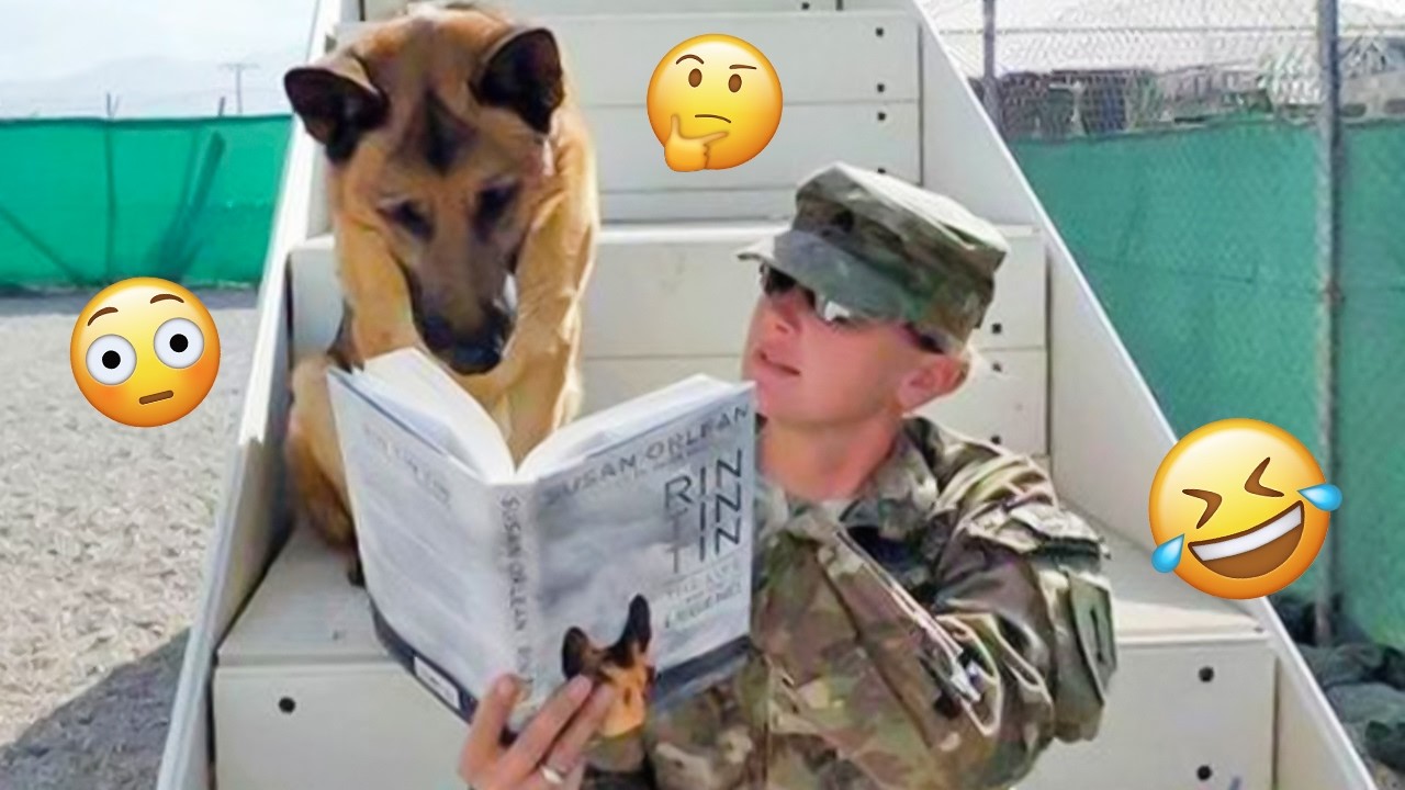 I dare you not to LAUGH at these FUNNY DOGS 😁🦮 - Best Funny Animals Videos 2025 #282