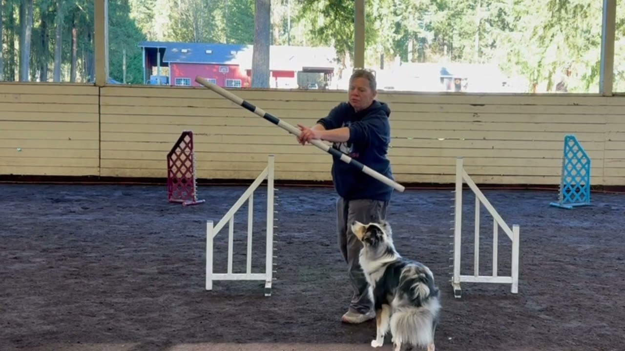 Rear Cross Agility Training