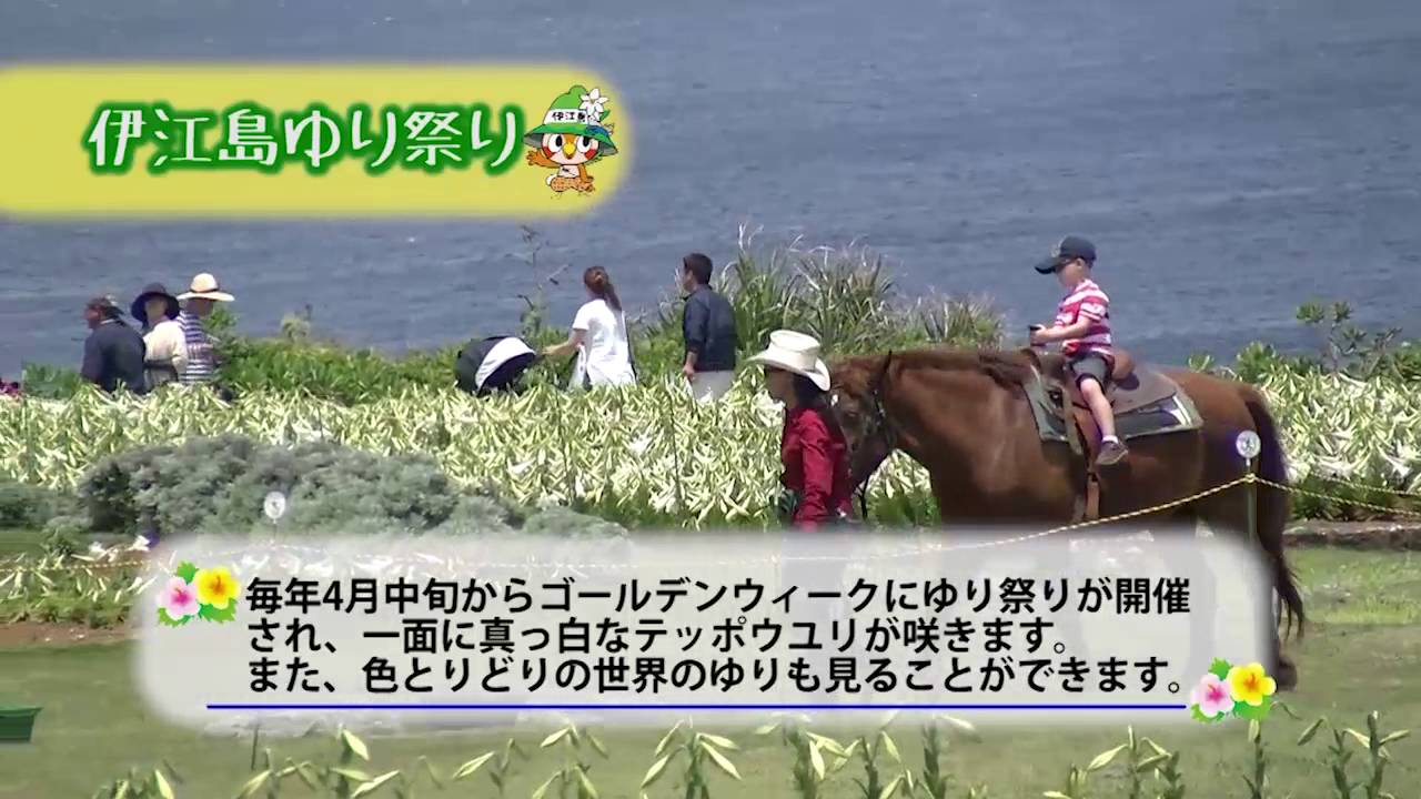 いめんしょりいーじまんかい - 伊江島PR動画