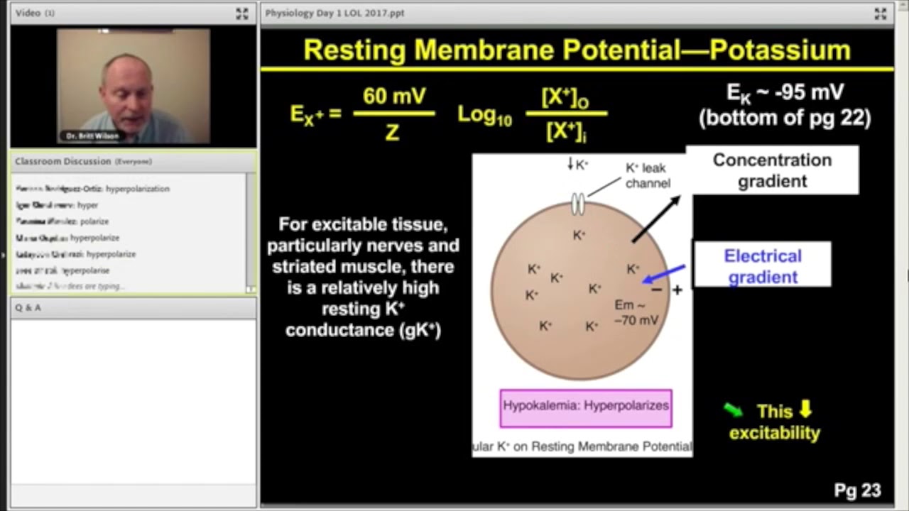 Membrane Potential - Step 1 Physiology