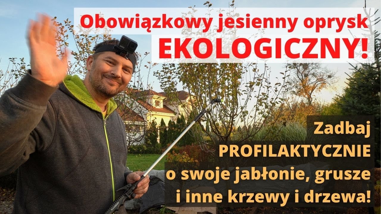 Jesienny oprysk drzewek mocznikiem. Profilaktyczne zwalczanie parcha gruszy, jabłoni i nie tylko!