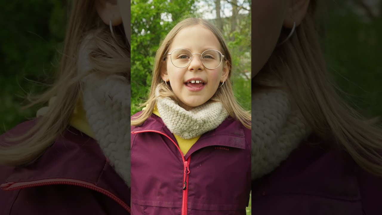 Salamandre Junior et Petite Salamandre - Les revues des petits curieux de nature !