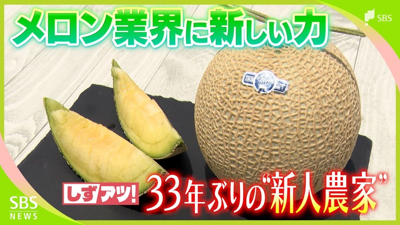「部屋に入った時 メロンにあいさつする」静岡県特産のクラウンメロンに33年ぶりの新たな生産者 目指すは