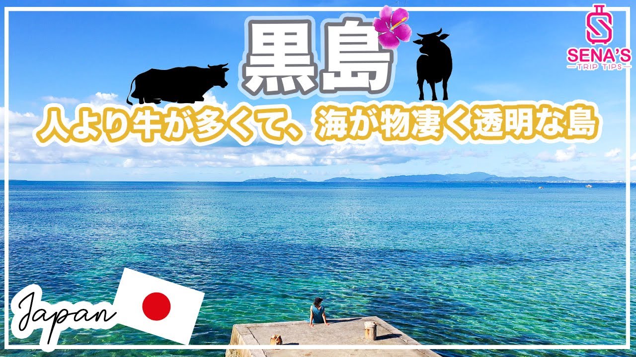 【牛が人の10倍いる黒島】びっくりするぐらい透明な海とのどかな景色に感動する島　観光スポット多数！モデルコースを紹介