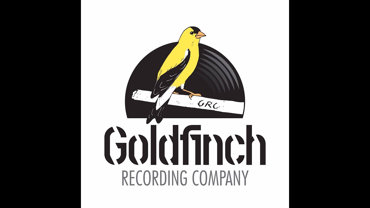 Larriv&eacute;e Guitars L-05 with Moonwood top @LarriveeMedia @AudioTechnicaUSA