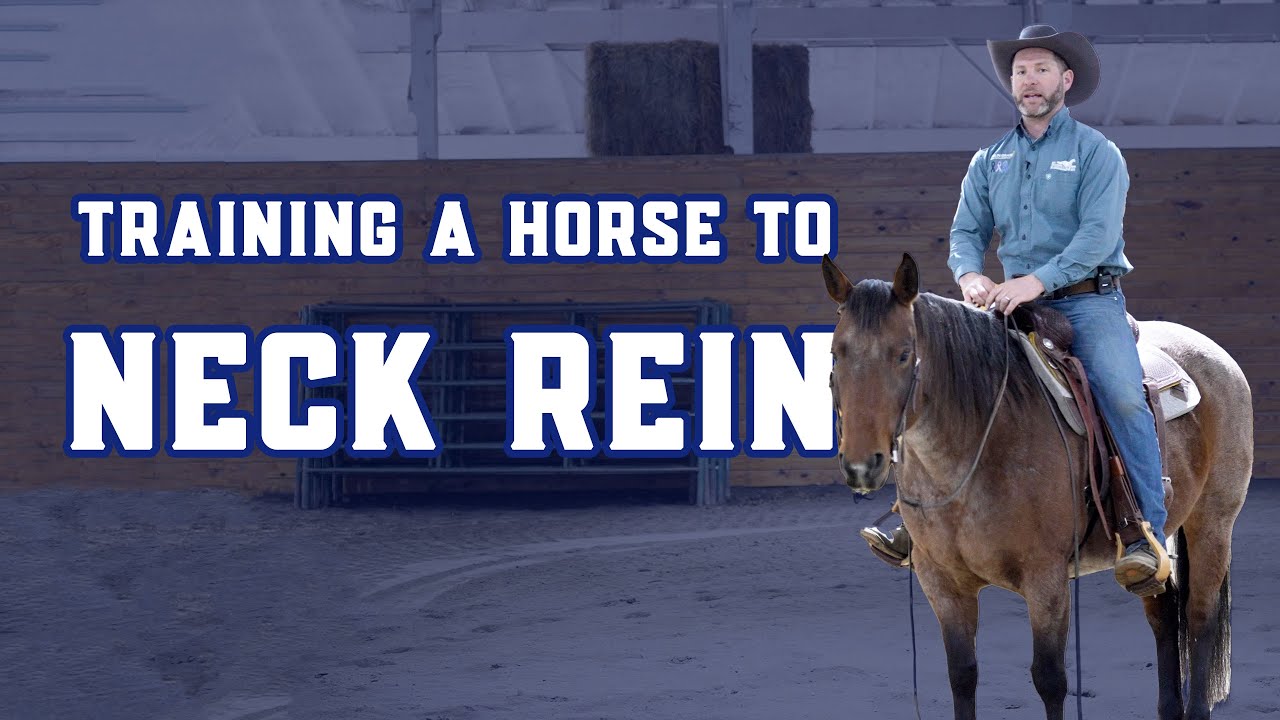 Mastering Neck Reining: Unlocking Shoulder Control for Your Horse