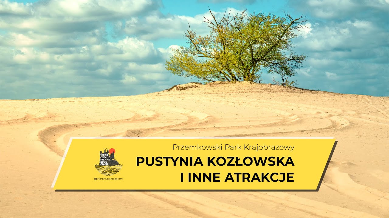 Pustynia Kozłowska i Przemkowski Park Krajobrazowy - co zobaczyć i zwiedzić w dolnośląskich borach