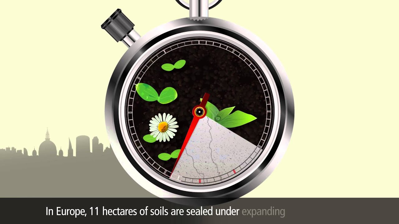 Soil 101