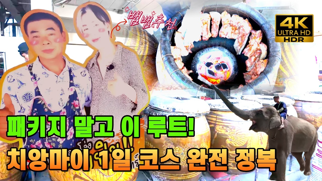 🇹🇭 (ENG SUB)치앙마이 자유여행 루트 공개 | 현지식 카오소이와 카오깽 & 항아리 삼겹살 & 코끼리 카페까지 하루 코스 #태국 #Thailand