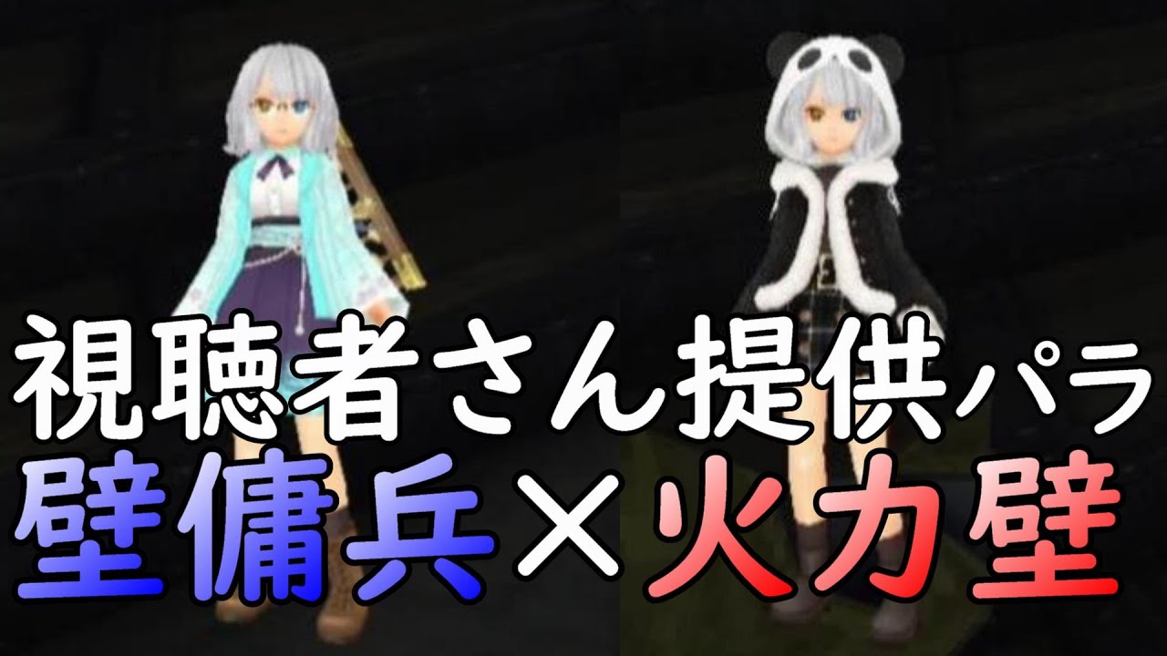 【視聴者提供パラ】壁傭兵と火力壁を兼用できるハイブリッドな拳矢・拳盾パラ紹介！ステ振り、装備、コンボ【トーラムオンライン】2