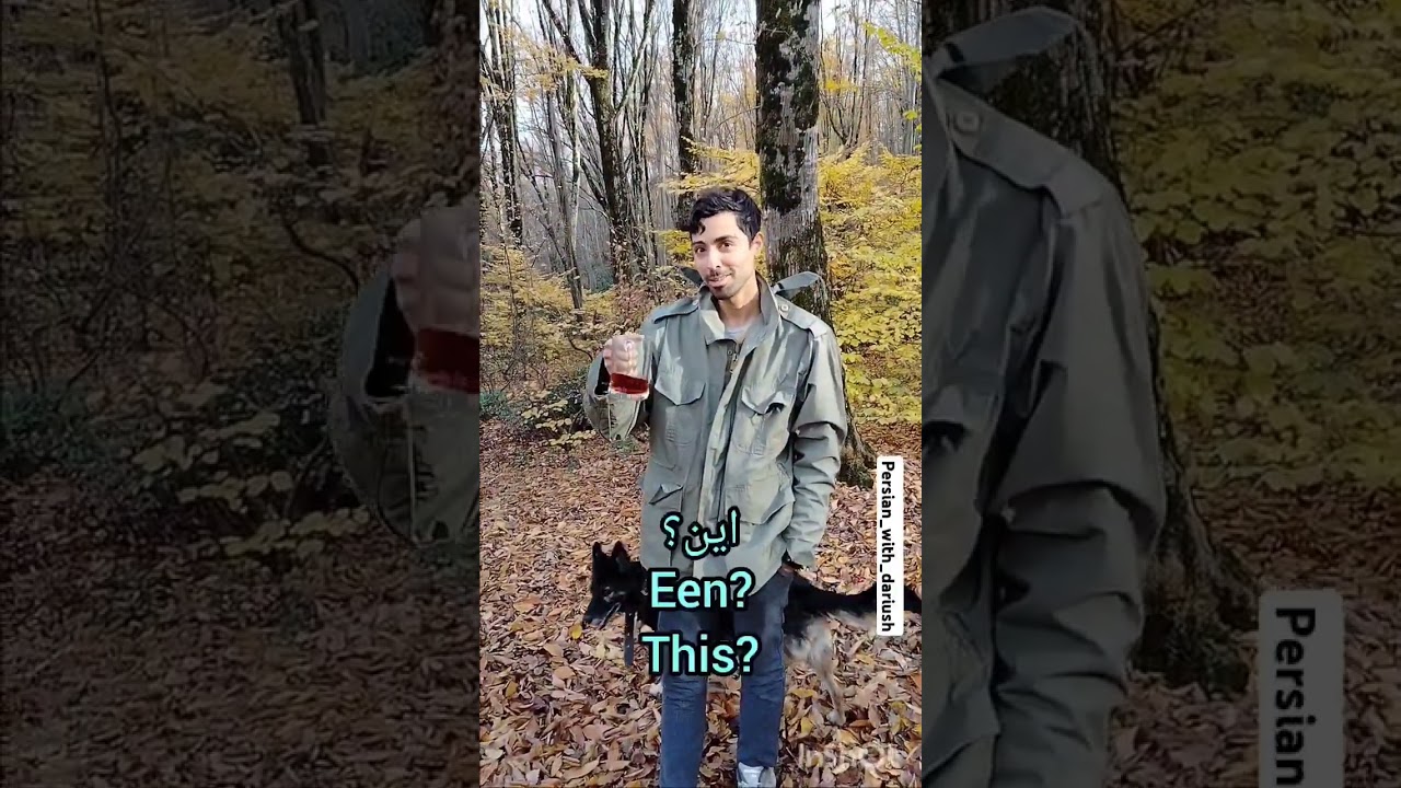Basic Persian conversation in nature. #chai