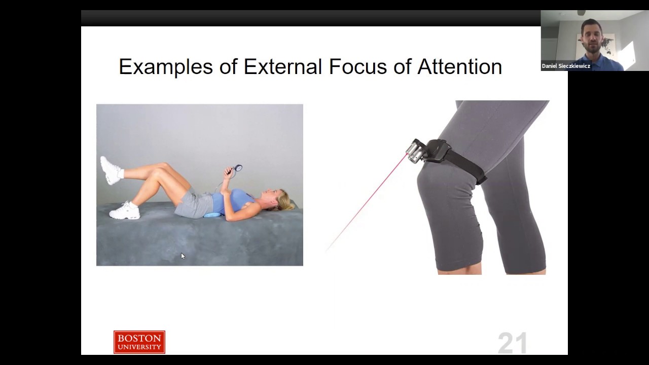 Application of the OPTIMAL theory with Dan Sieczkiewicz PT, DPT, FAOOMPT