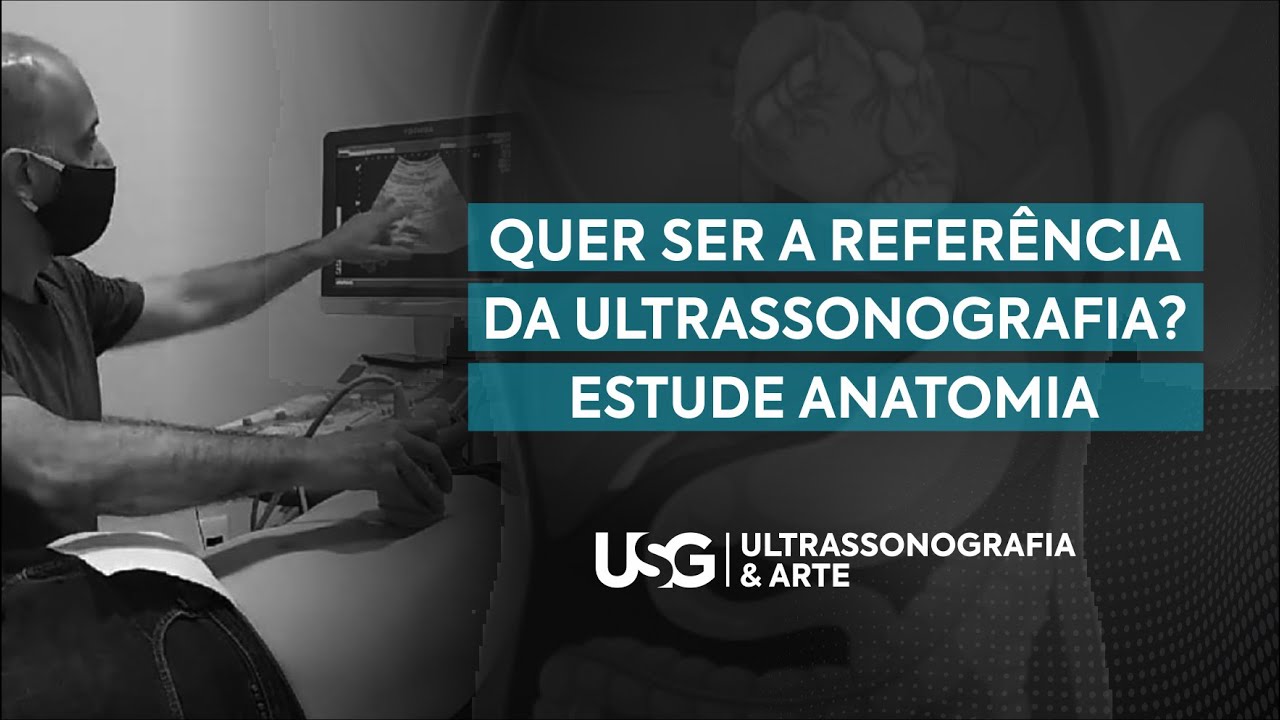 Anatomia da veia porta, colédoco, tronco celíaco, veias hepáticas e segmentação hepática