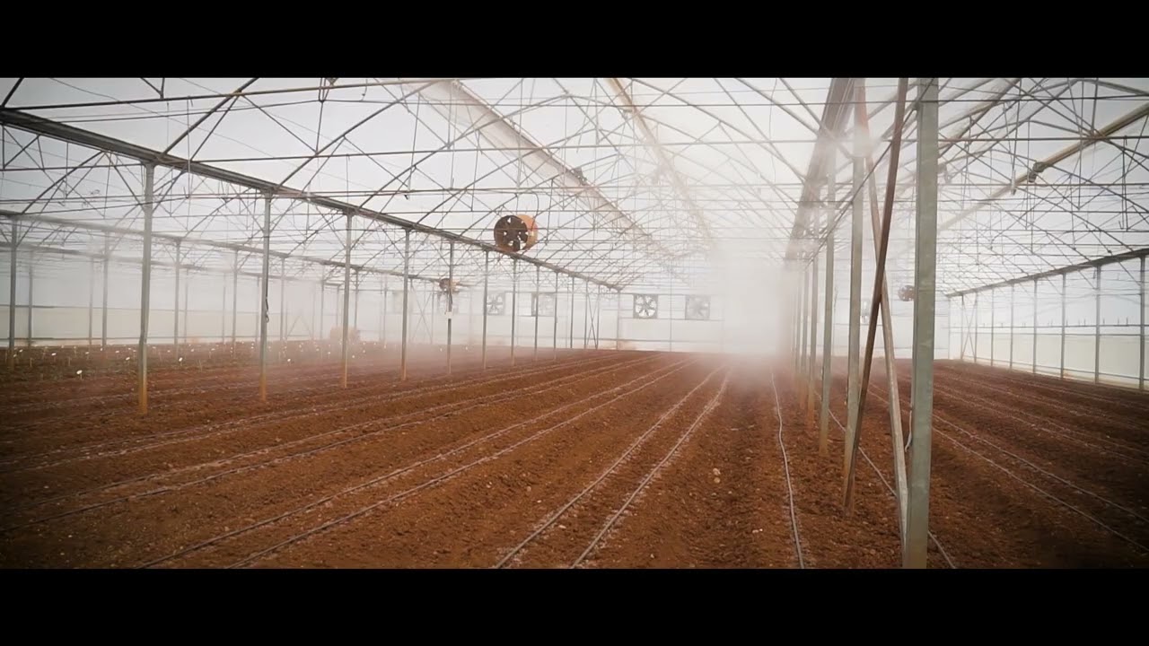 Chill out With Real Greenhouse...