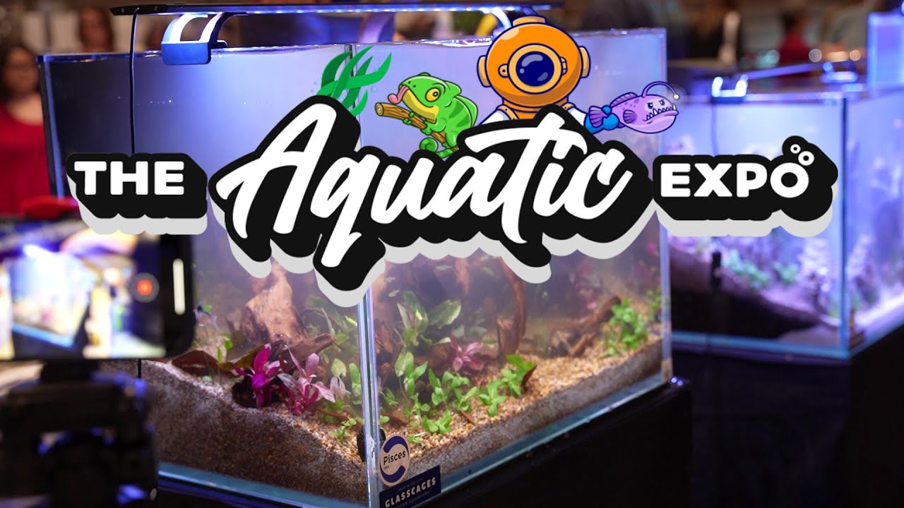 3D Printed Aquarium Decor | Reptiles | New Foods! | Aquatic Expo 2025