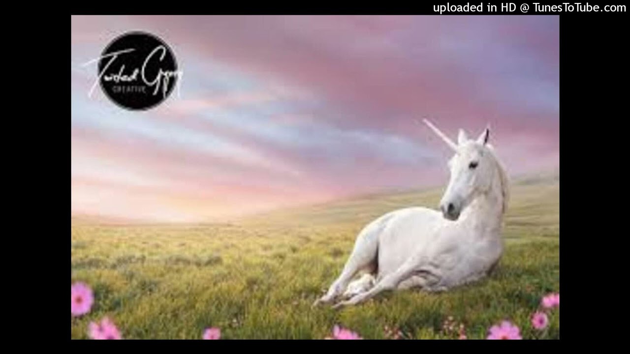 Free for Non Profit Use | Perc40 x Boolymon type beat