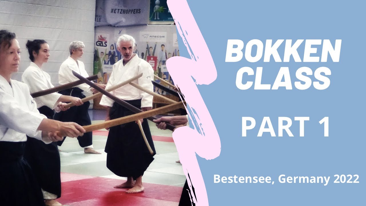 Bokken practice - Random attacks !