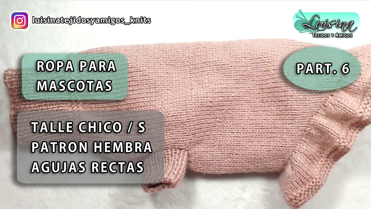 ROPA PARA MASCOTAS   TALLE CHICO   PATRON HEMBRA   AGUJAS RECTAS   LUISINA TEJIDOS Y AMIGOS part 6
