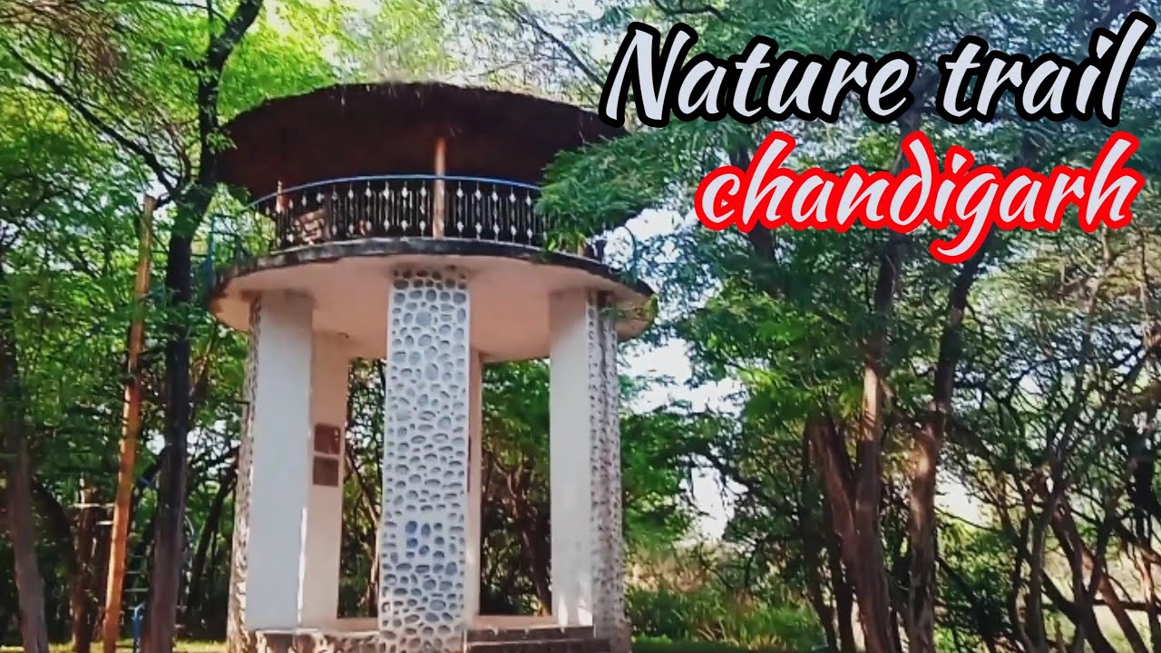 Nature trail chandigarh//unexplored place in chandigarh //#nature #trail #chandigarh