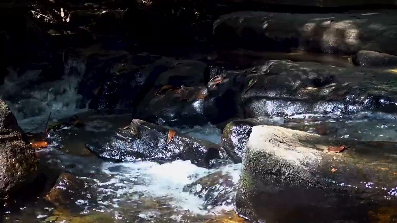 Tranquil Stream and Piano Music 🍃 | Deep Relaxation & Inner Peace