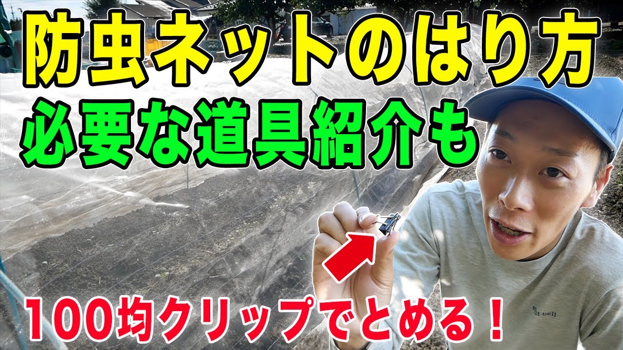 防虫ネットのはり方と必要な道具紹介