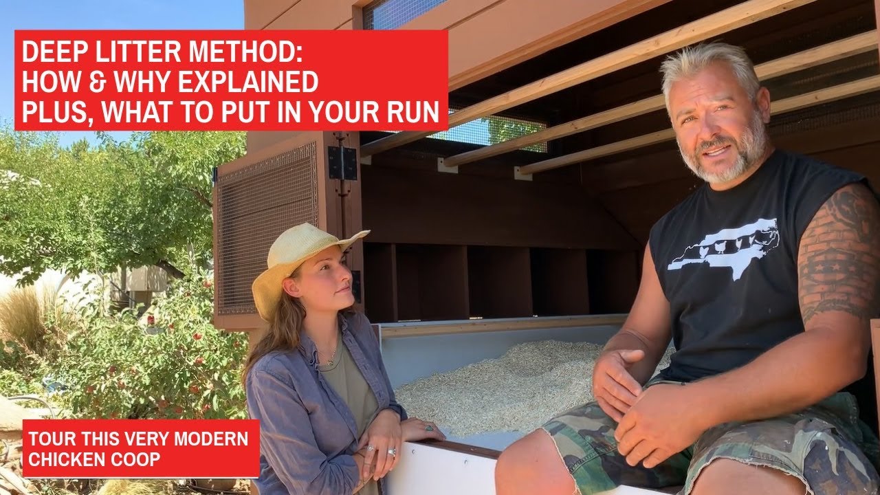 Deep Litter Method Explained! Plus What to Put in Your Run. Santa Fe Modern Chicken Coop