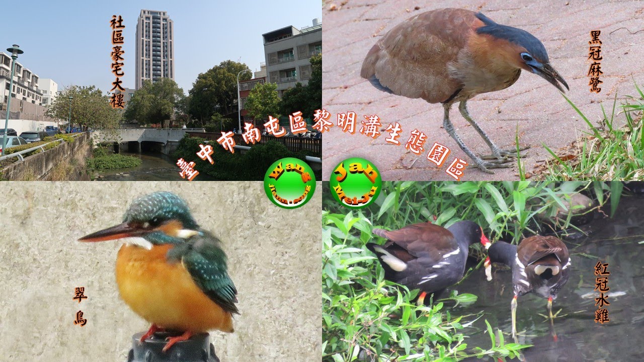2026.01.28台中市南屯區黎明溝生態園區