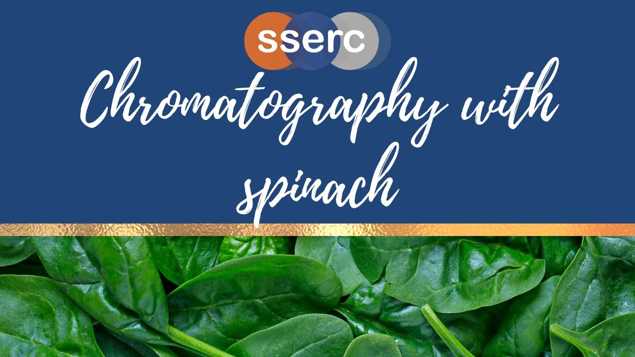 Chromatography with Spinach