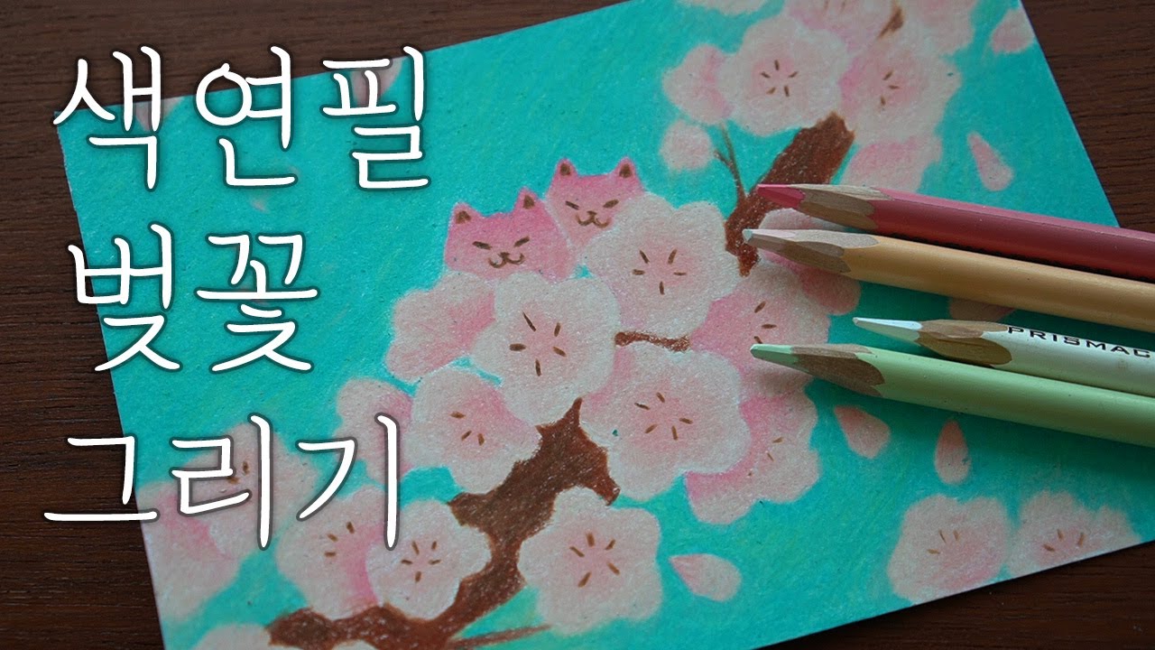 색연필로 벚꽃 그리기 / 손그림