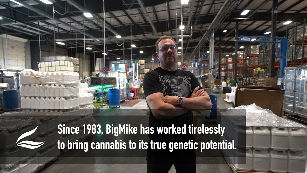The Most Profitable Cannabis Business Around--Behind the Scenes