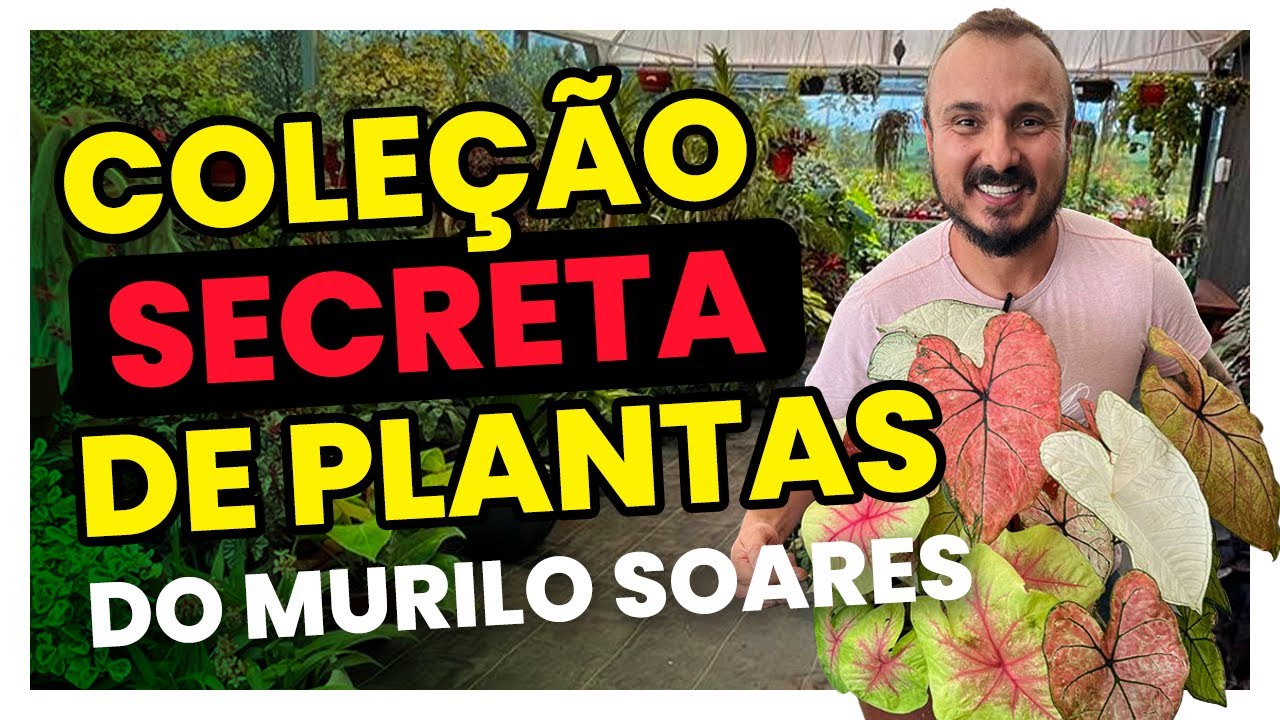 Conheça a coleção secreta de plantas do Murilo Soares