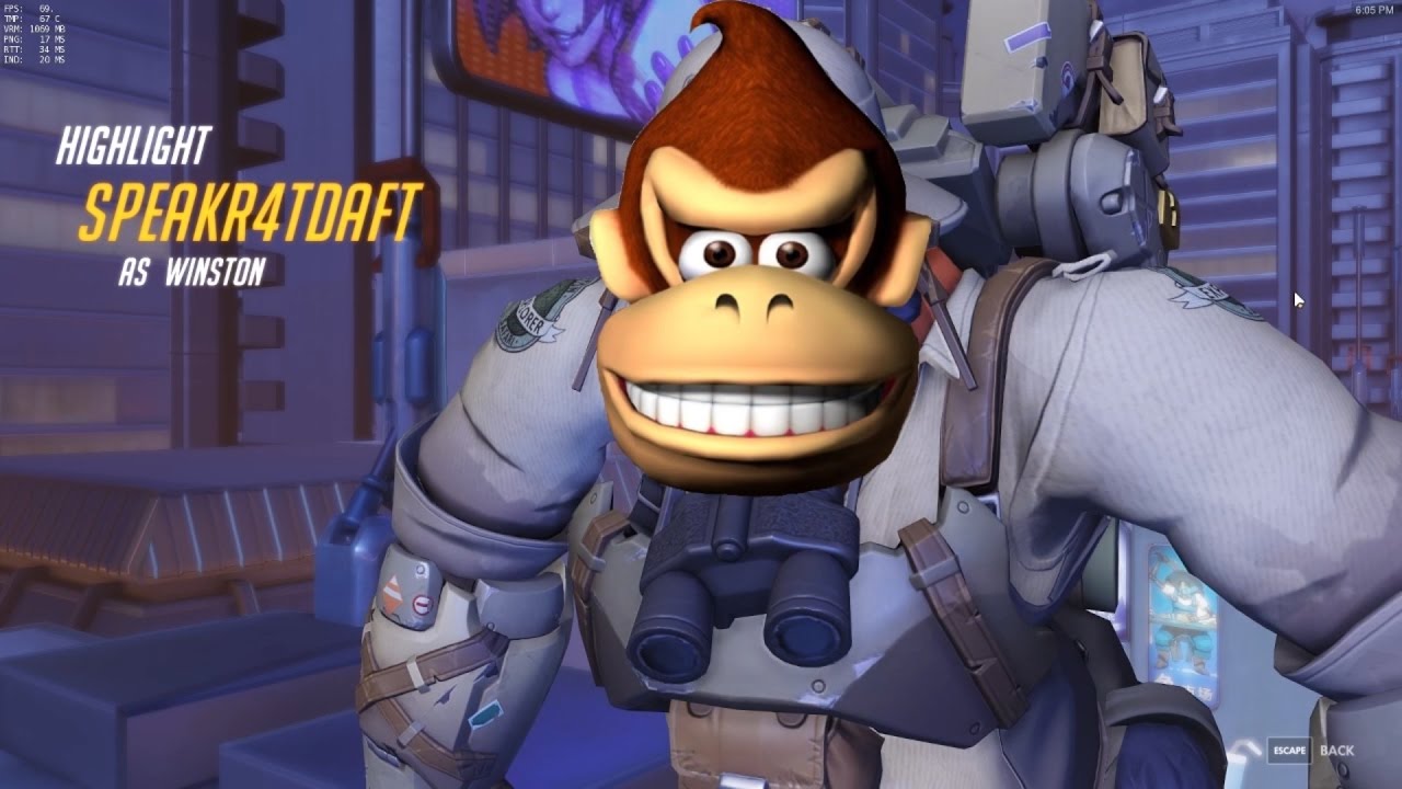 danky kang