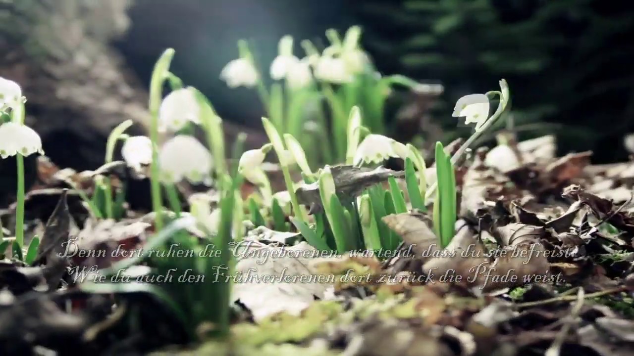 Falkenstein - Die grosse G&ouml;ttin  (Official)