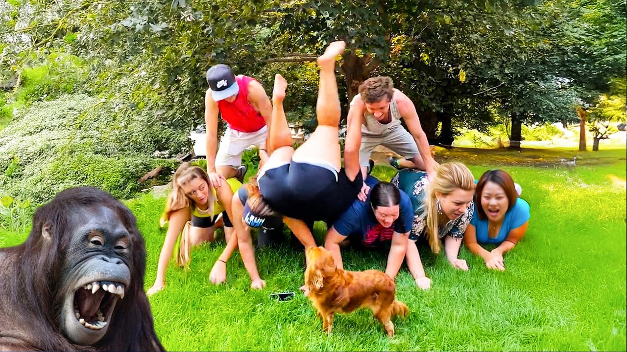 Try Not To Laugh 🤣 Top many Funniest Videos Ever 🎬🔥 Memes, Epic Fails & Pranks Compilation Part 1