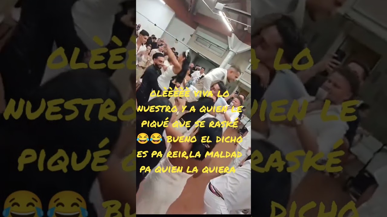 gitanos de bordas 2025 tema dedicao(boda) 