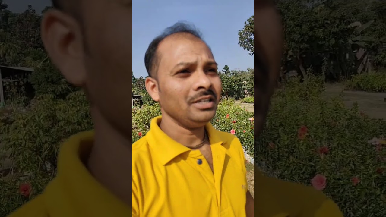 রকমারি ফুলের নার্সারি দেখতে হলে আসতে হবে 🌹🌿🥀🌼💐🌺🌷🪷🌸💮🏵️🪻🌻🌼🍁🍂🌱🌿☘️🍃🌵🪴🌺🌺🌺🌺 #vlog #video #viral 