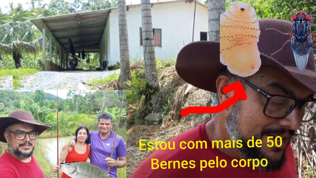 Estou sendo consumidor pelos bernes, recebi visita 