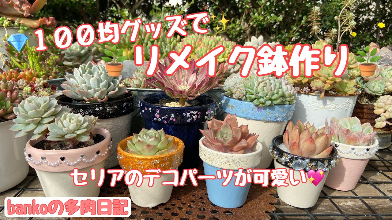 【多肉日記#52】貼るだけ⭐️かけるだけ✨簡単に出来る❣️リメ鉢を作りました🪴年末年始の狩っ多肉に🥰たまにはキラキラ系も可愛いです💖
