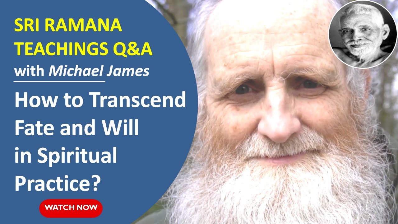 The Futile Discussion About Fate and Free Will: How to Transcend Both?