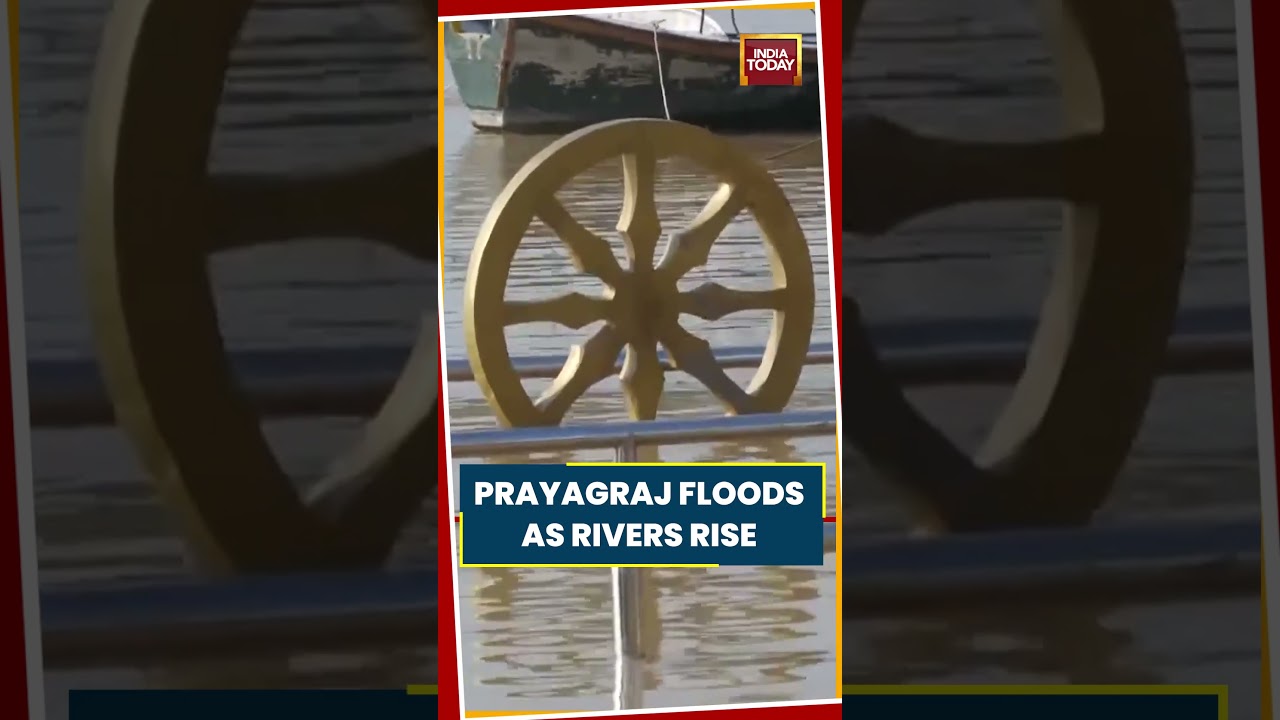 UP Floods: Ganga-Yamuna Waters Enter Low-Lying Areas Of Prayagraj #upnews #prayagraj #ganga #yamuna