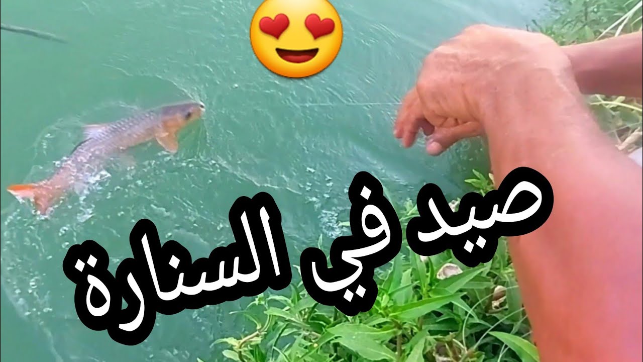 صيد الاسماك بلسنارة والشص في الانهار