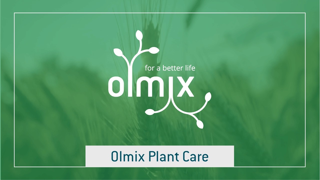 Plant Care Olmix : des solutions intelligentes et durables pour vos cultures