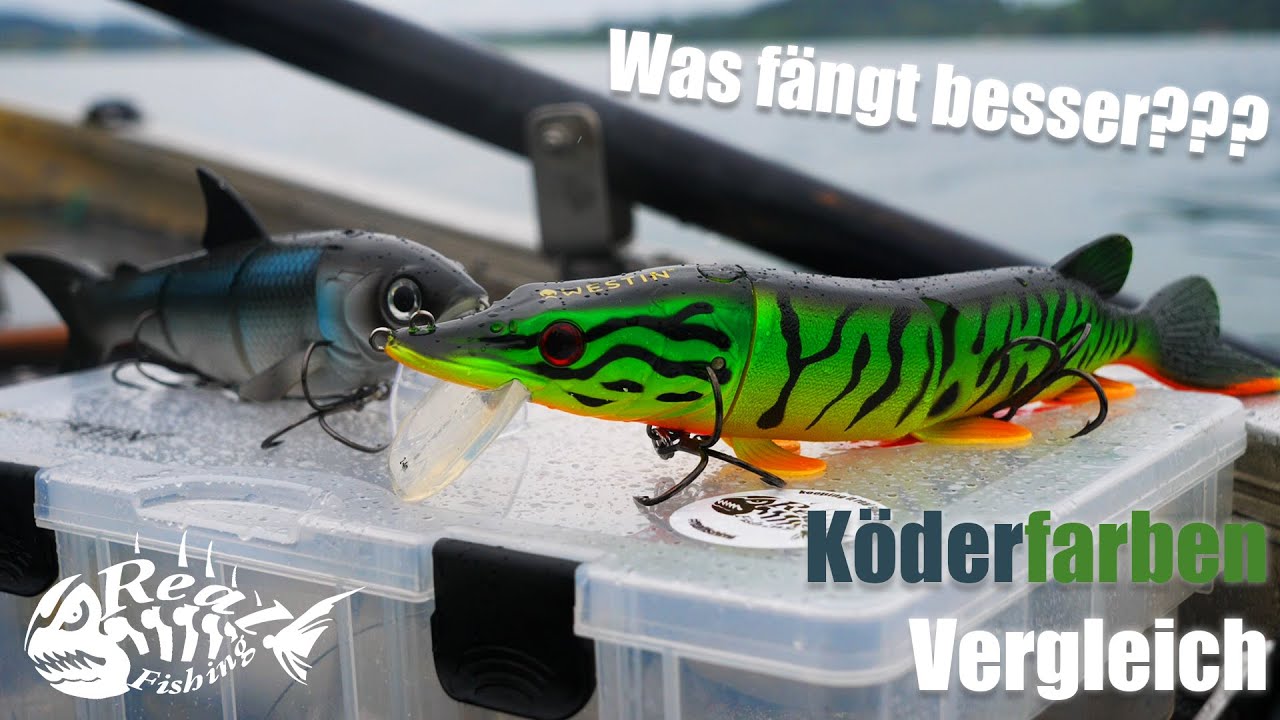 Welche f&auml;ngt am Besten? K&Ouml;DERFARBEN Vergleich // Verr&uuml;ckter Tag auf HECHT!!!
