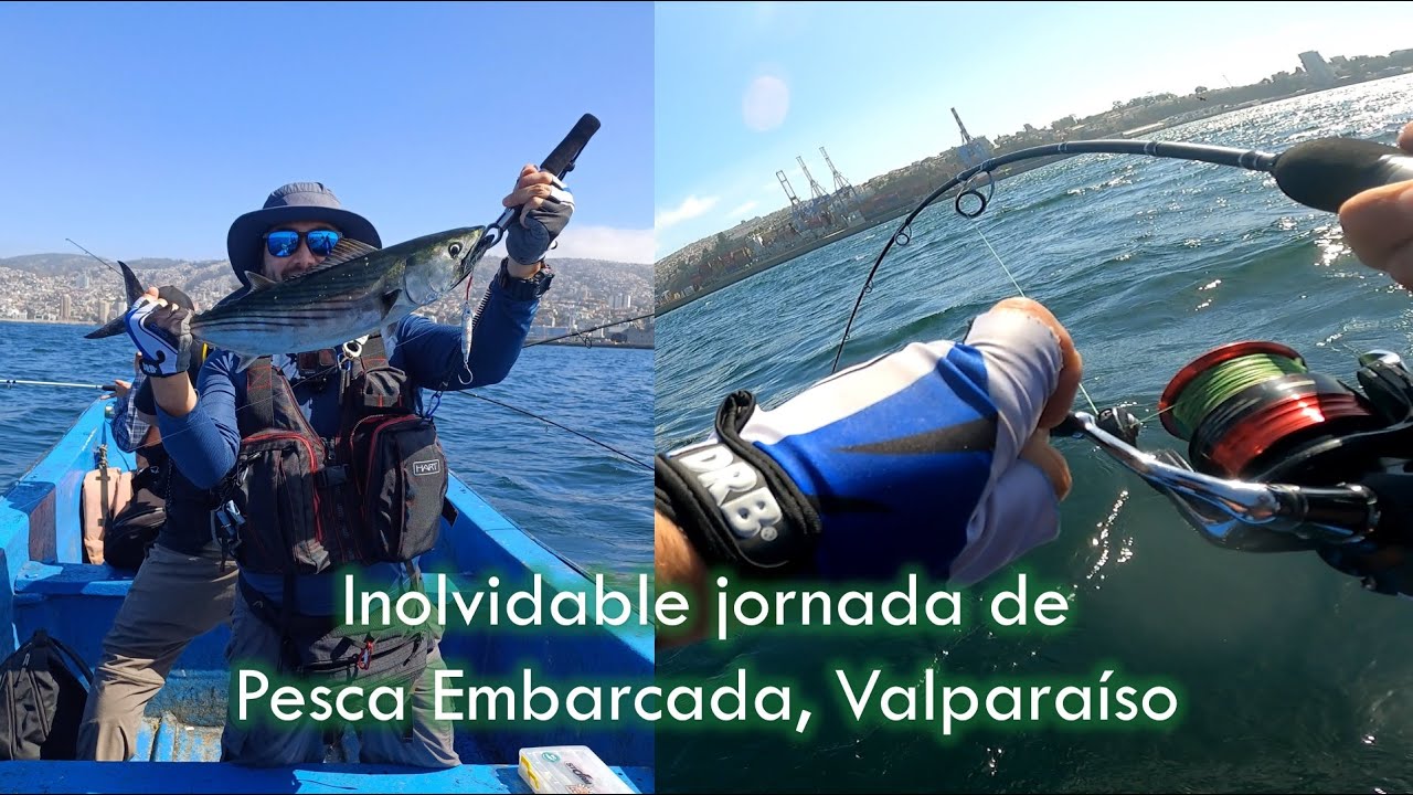 ALUCINANTE PESCA EMBARCADA !! Frenes&iacute; de Bonitos por todos lados!! | POV